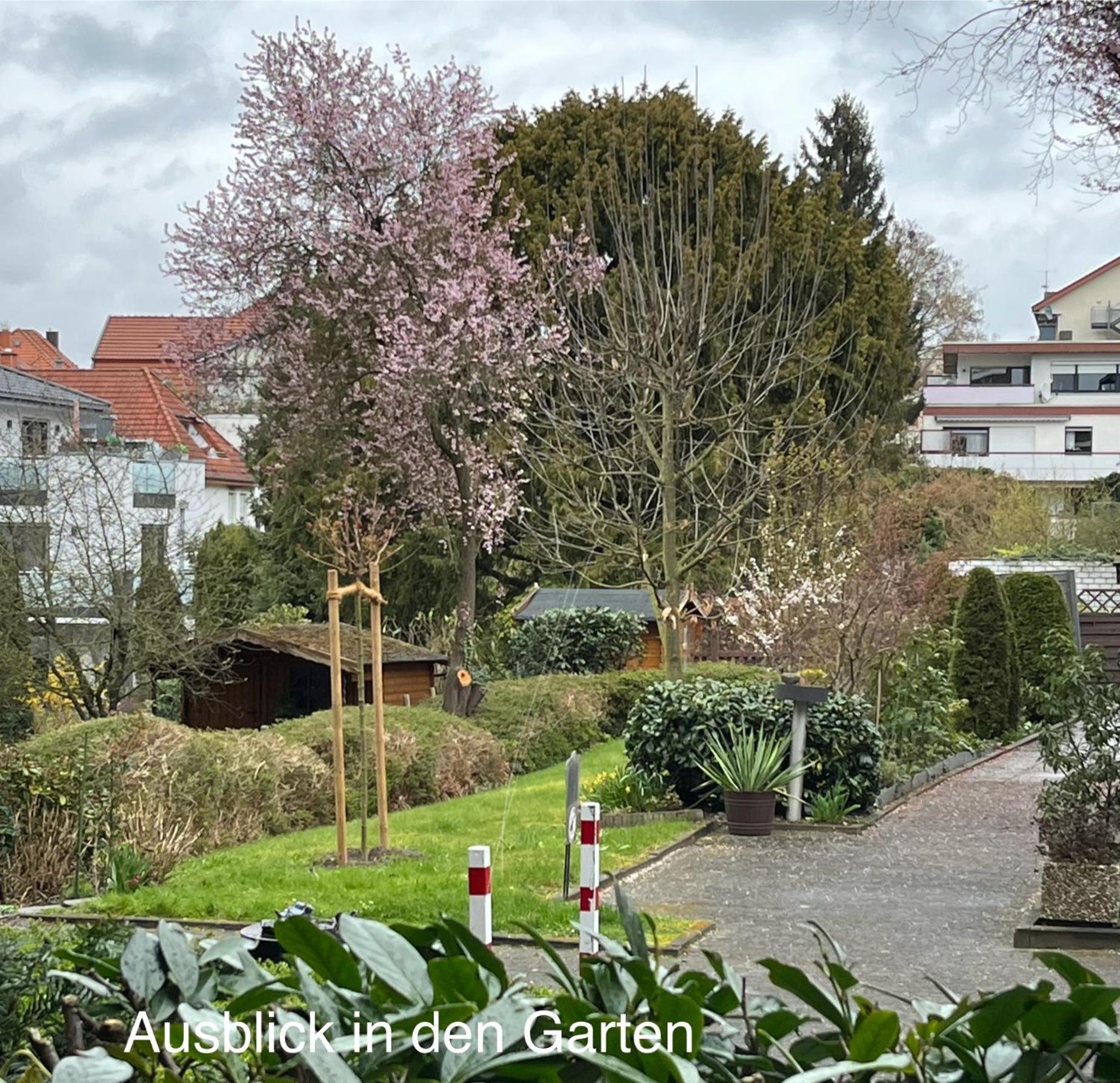 Appartementresidenz Am Kurpark - Ferienwohnungen Mit Pool & Sauna & Garage Bad Salzuflen Kamer foto